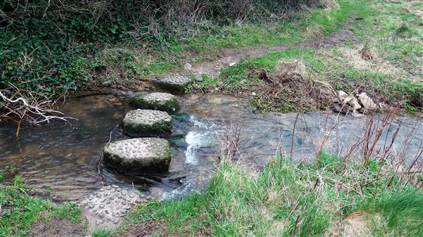 Nature Trail Stepping Stones